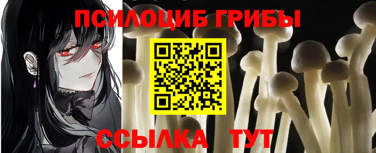Армавир  Галлюциногенные грибы мухоморы  Галлюциногенные грибы Psilocybe  Вход с VPN 